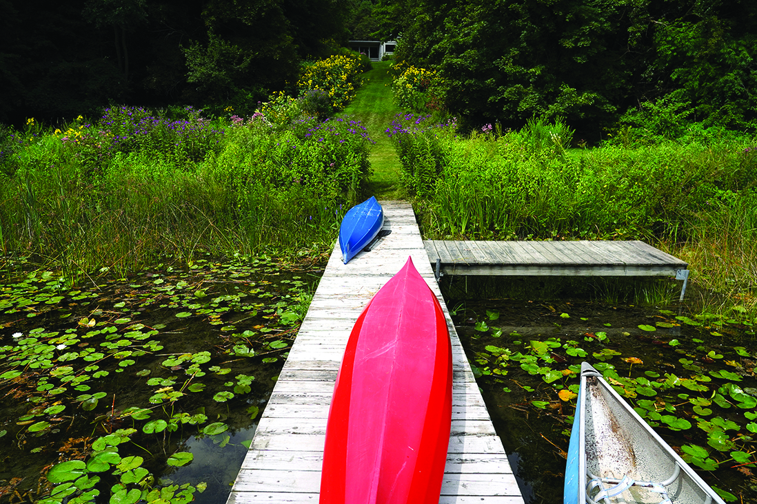 Shoreline with kayaks near dock